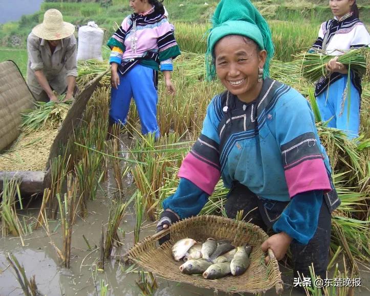 元阳梯田脱贫,红河哈尼族彝族自治州扶贫