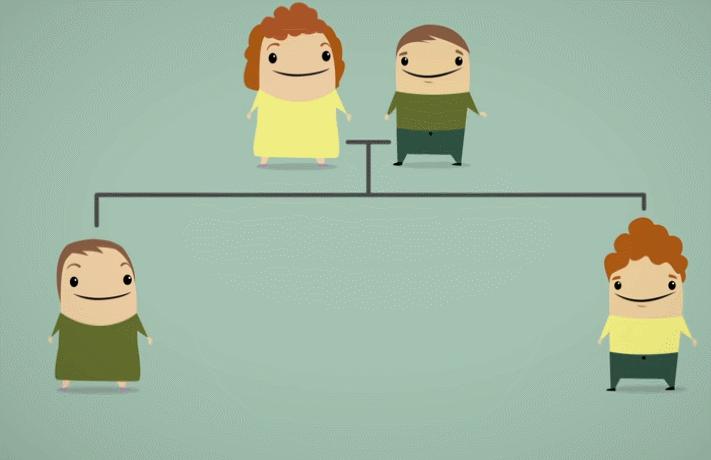 蛇到底怕雄黄是真的吗,为什么蛇害怕雄黄粉