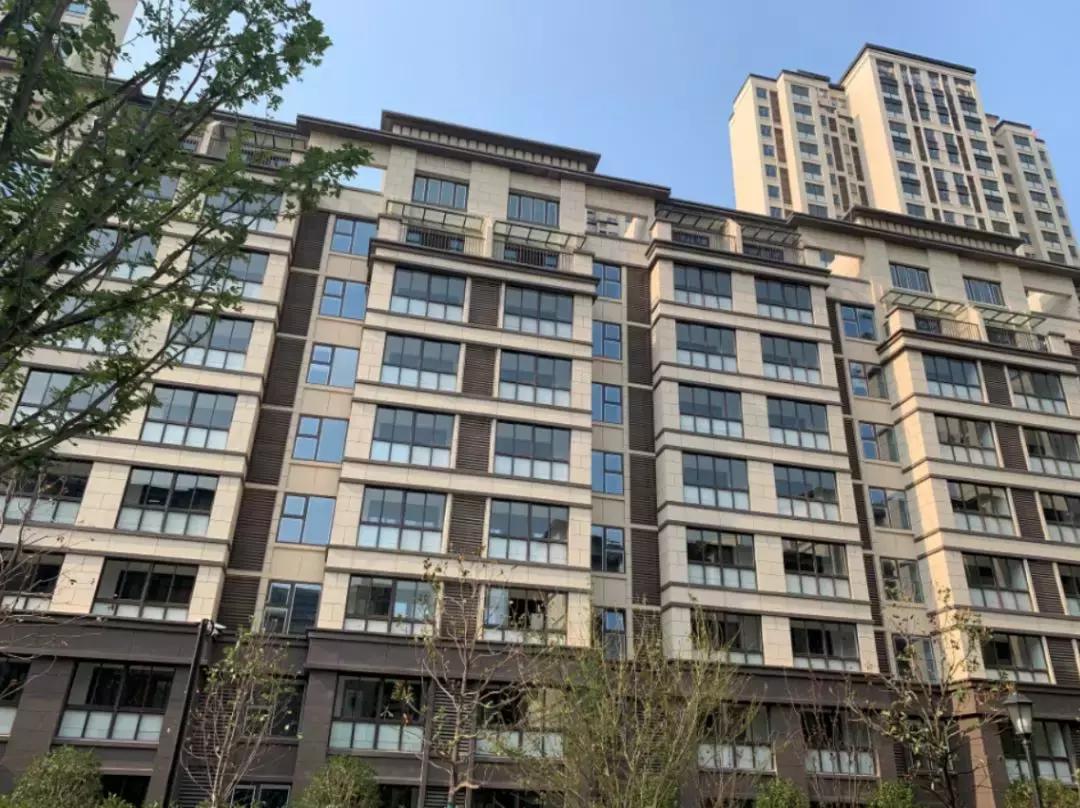 三人成虎感受到了什么,三人成虎口碑