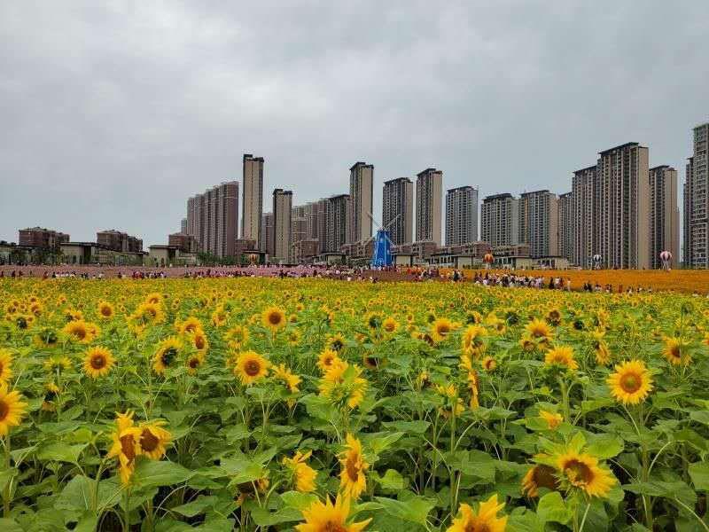 南昌真的要火了吗,南昌即将发展的地方