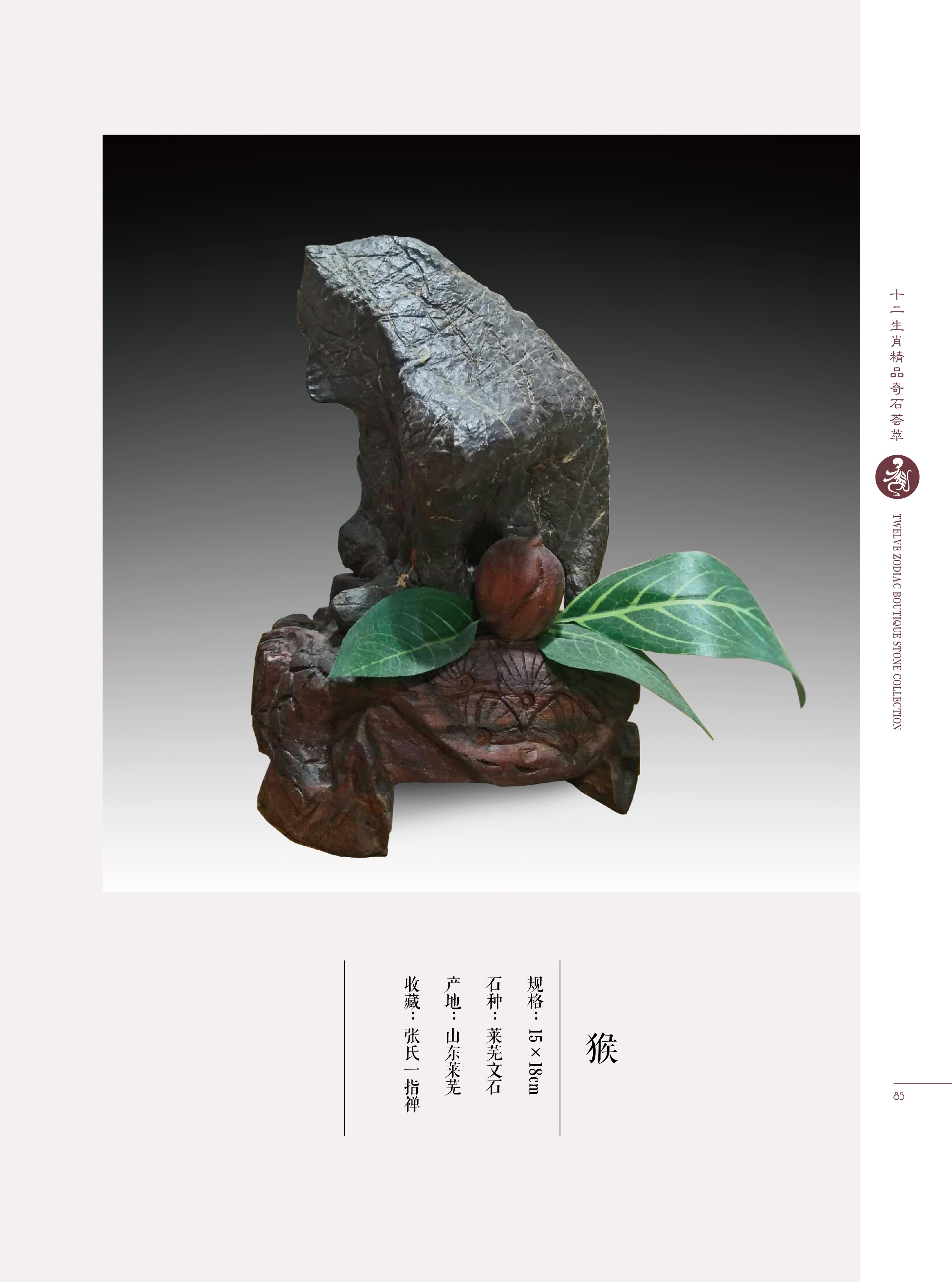 难道猴子真是石头变的?