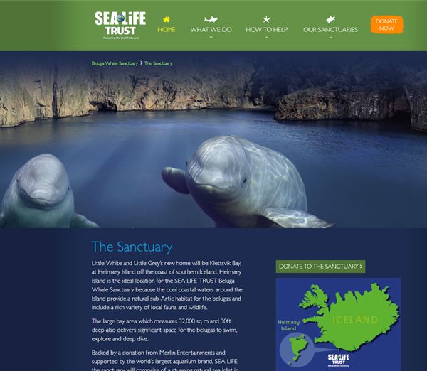 没有买卖就没有伤害的出处,没有买卖就没有伤害动物