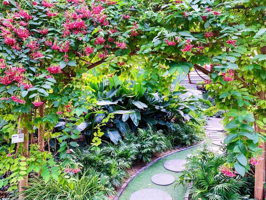 2020丰台文化和旅游消夏季活动正式启动！5条线路，游园、嬉水、赏花、亲子、夜游，全都有！