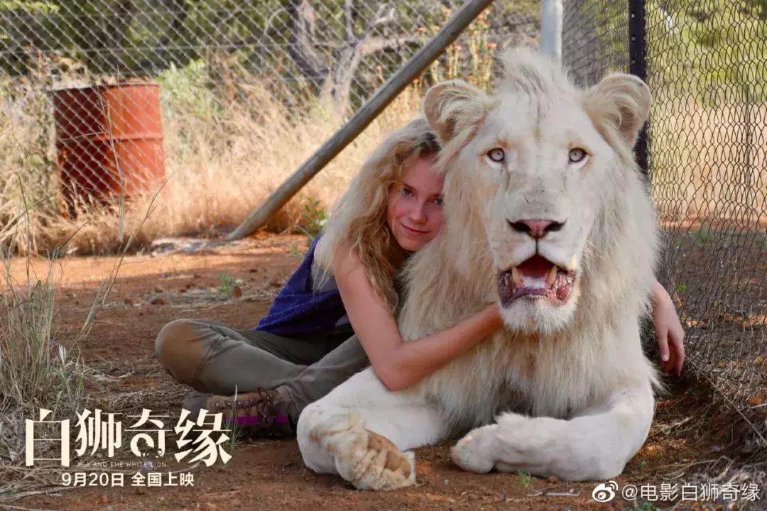 国庆档哪部影片延迟,国庆前最后一天