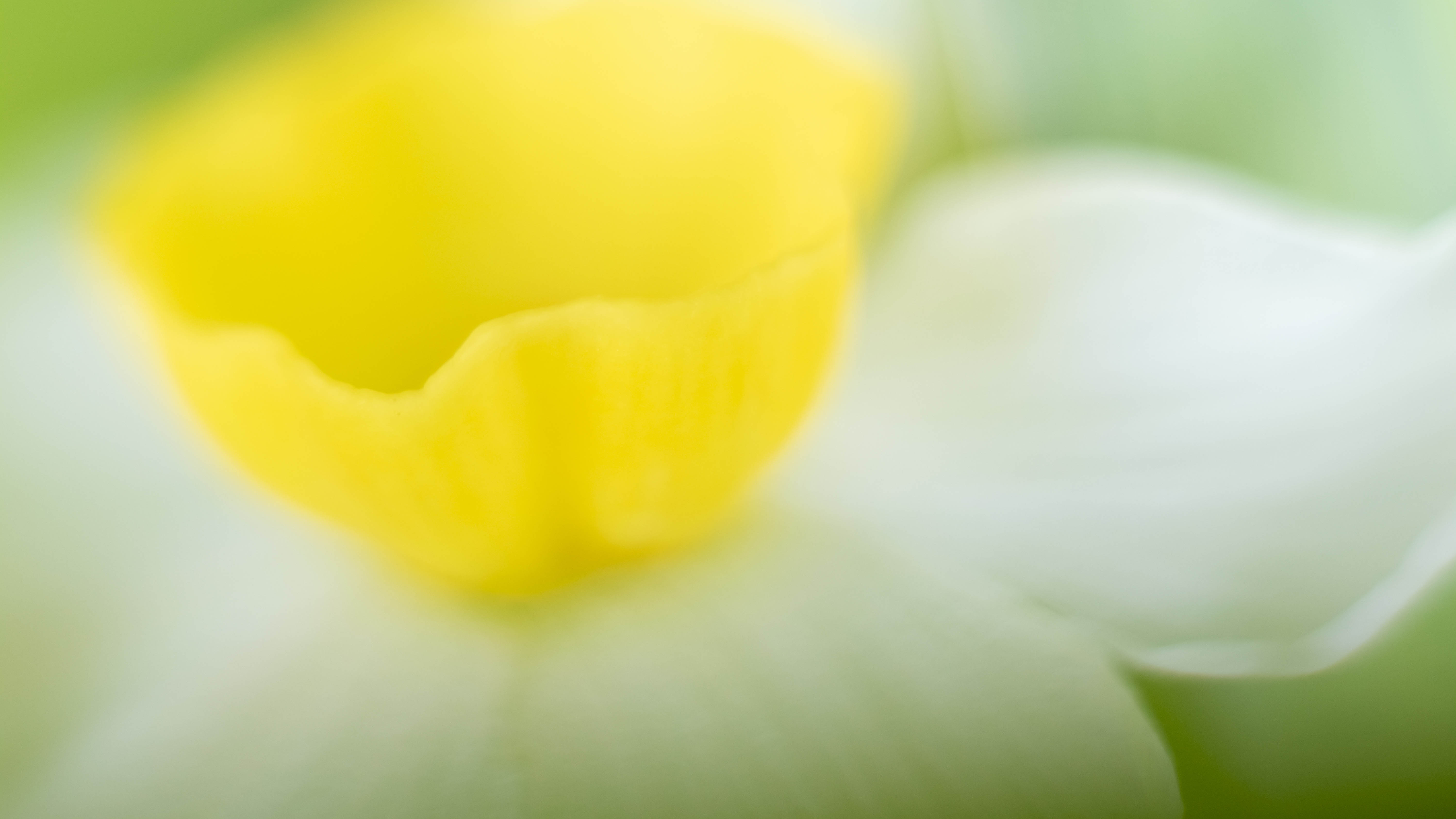 新手小白如何拍出好的摄影作品,如何拍出艺术气息的景