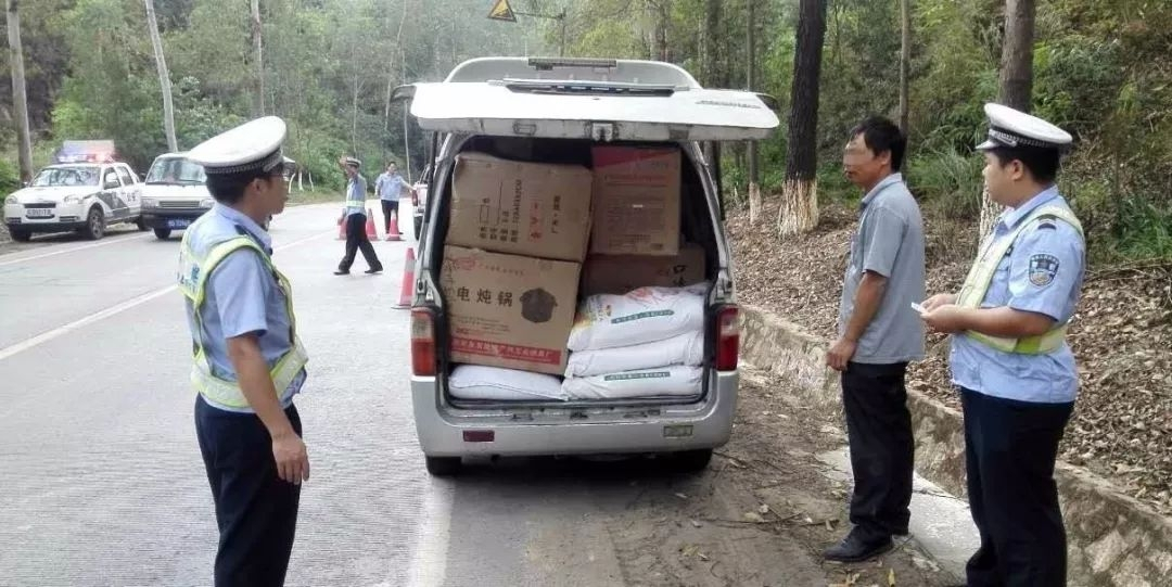 开车无意撞到了小动物该怎么处理,开车行驶撞到动物如何处理