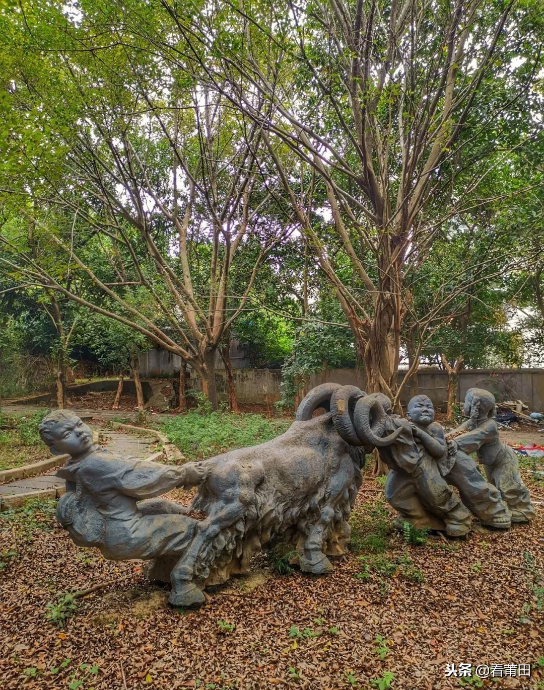 莆田快乐农庄以前的样子,莆田快乐农庄建什么