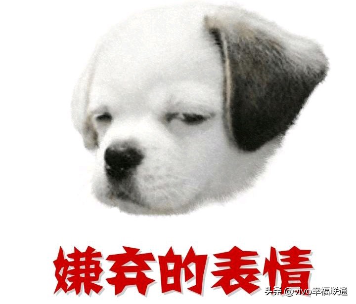 当你的手机不见了时,回忆回不去的手机