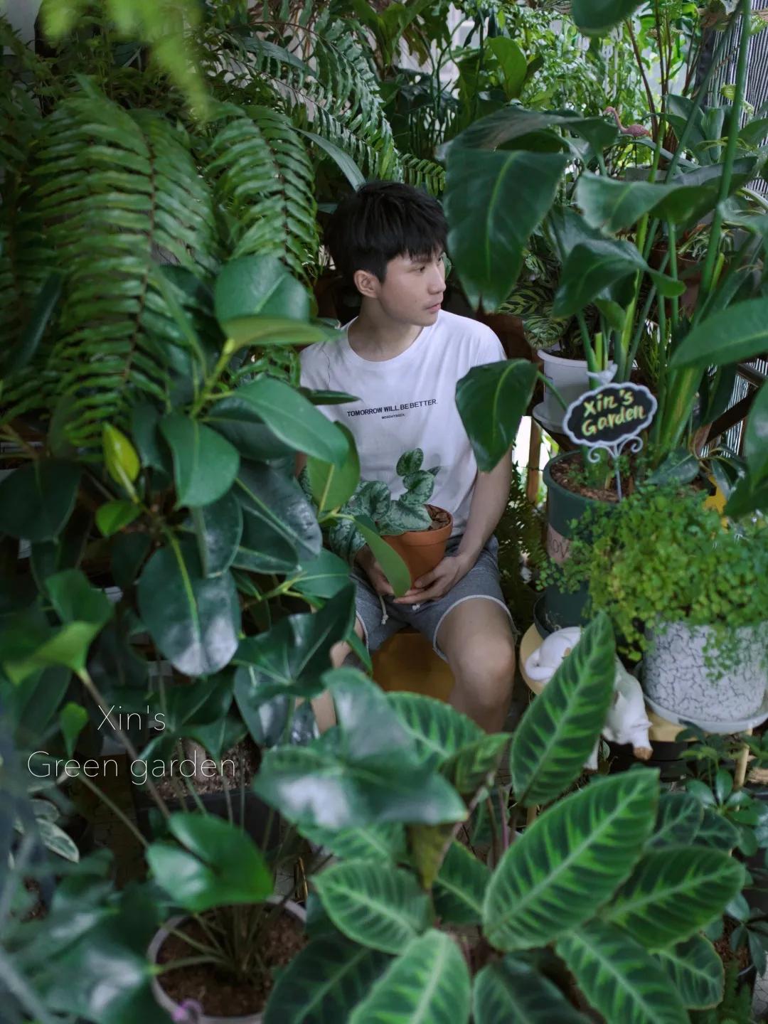 没花园怎么种花？从东北到广东，4位大神在室内种出植物园，绝美