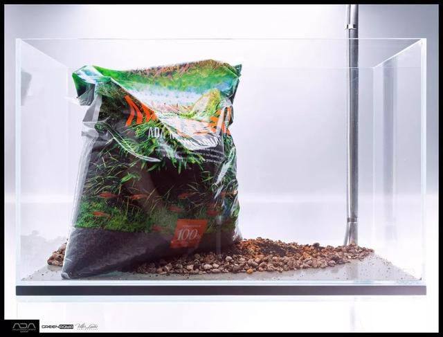 ada风格造景用什么底砂,鱼缸造景ada风格