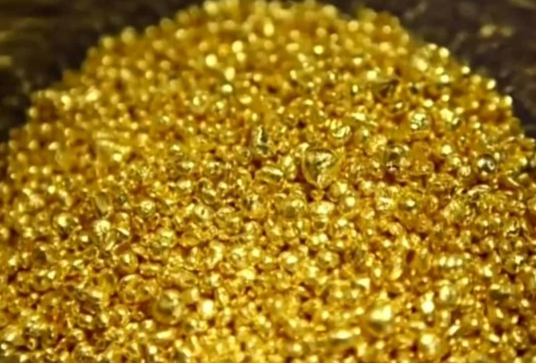 搞笑密集恐惧症,密集恐惧症搞笑治愈