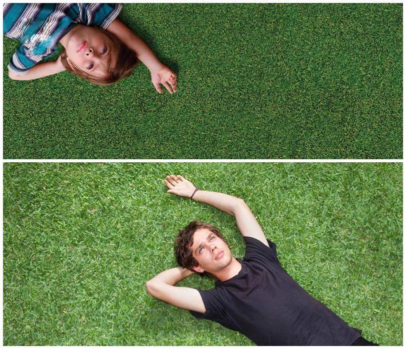 最近影评最好的电影,影评人心中最佳的电影