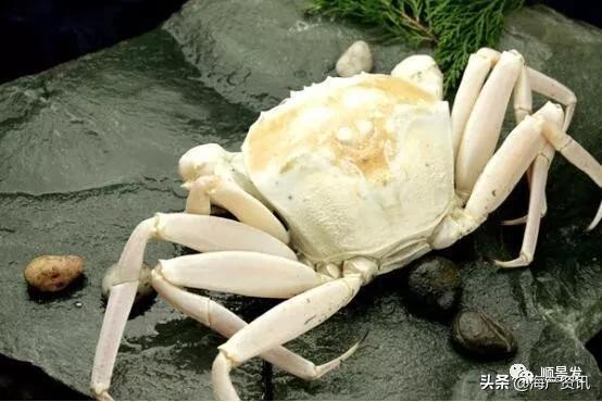 春节必买的海鲜,一年四季海鲜怎么选