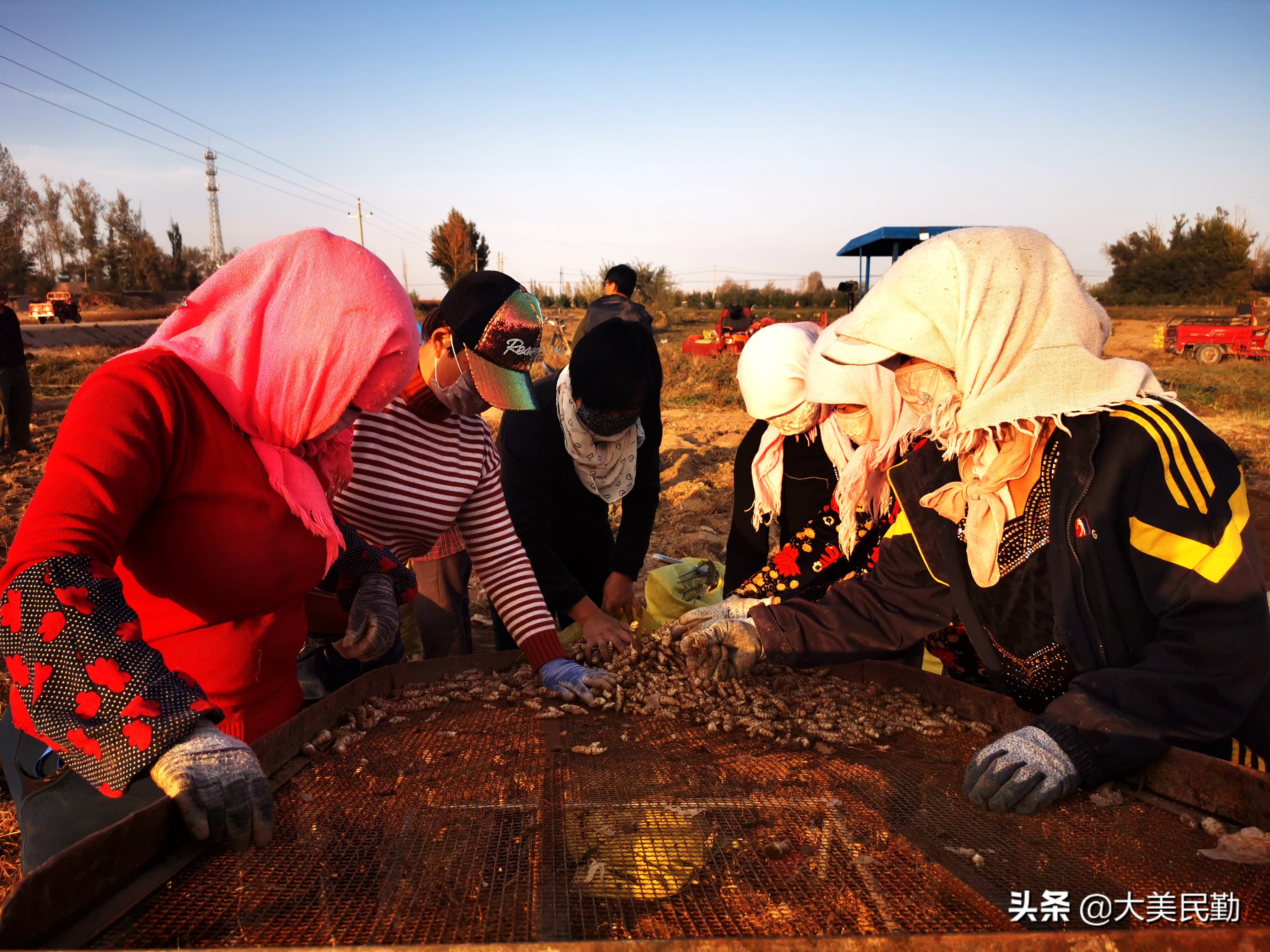 大学生圆梦创业,大学生农业孵化基地