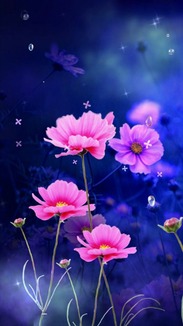 小清新花朵壁纸唯美文艺,唯美淡雅花朵风景图片壁纸