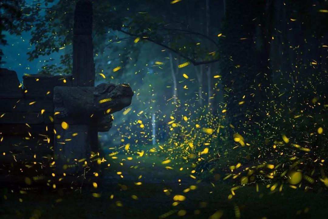 南京天空之镜高清图,中国五大惊艳世界的城市