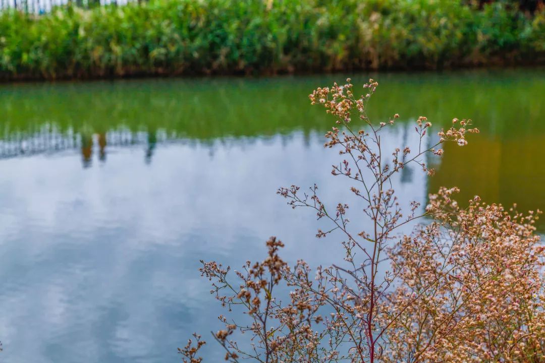 珠海哪里最值得去旅游,珠海哪里旅游比较值得去