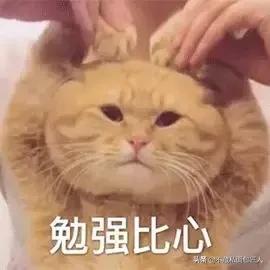 剁手篇购物清单,日本女士必买剁手清单