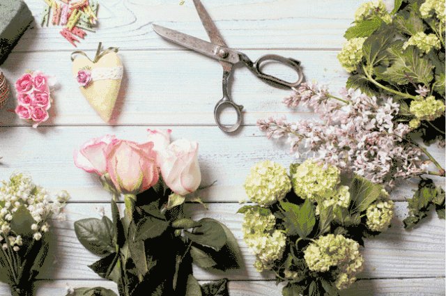 泰和龙岸,泰和龙岸278平米