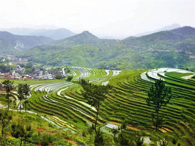 广东省最美自驾游244省道,中国最受欢迎的十大自驾路线top1