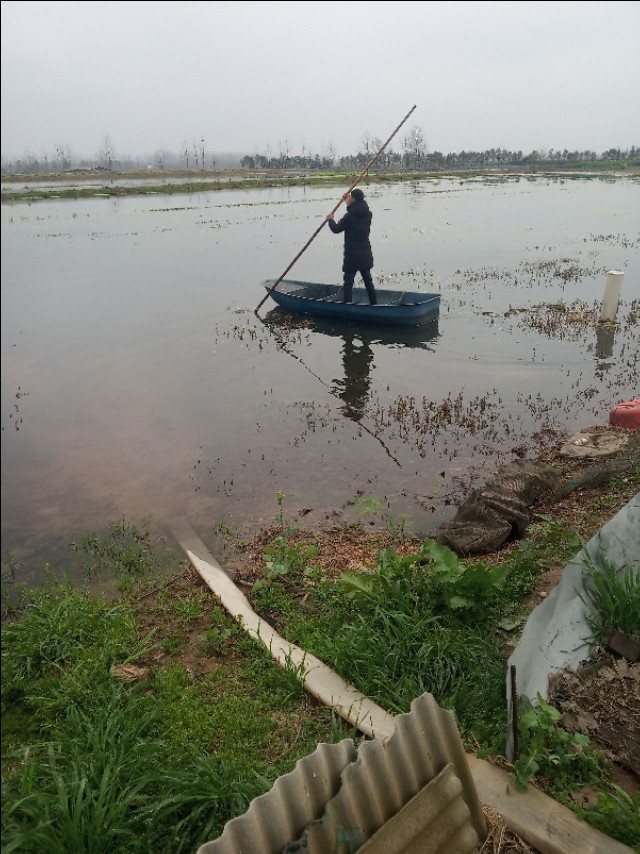 小龙虾早晚不爬草上是好还是不好,小龙虾为什么频繁死亡