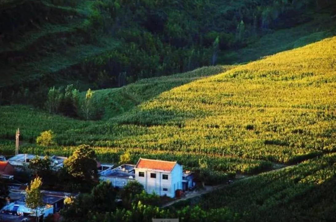 迎驾村,引驾村在西安哪里