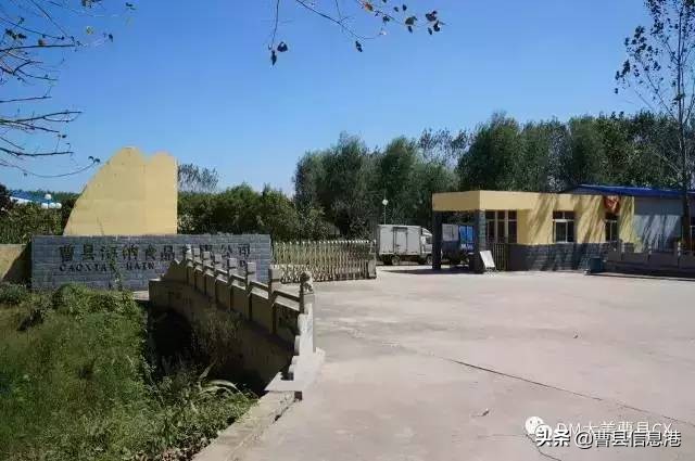 曹县十大强镇,曹县全国百强镇