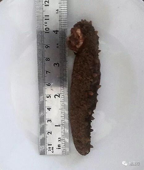 秋风起秋膘贴,秋风起贴秋膘喝羊汤