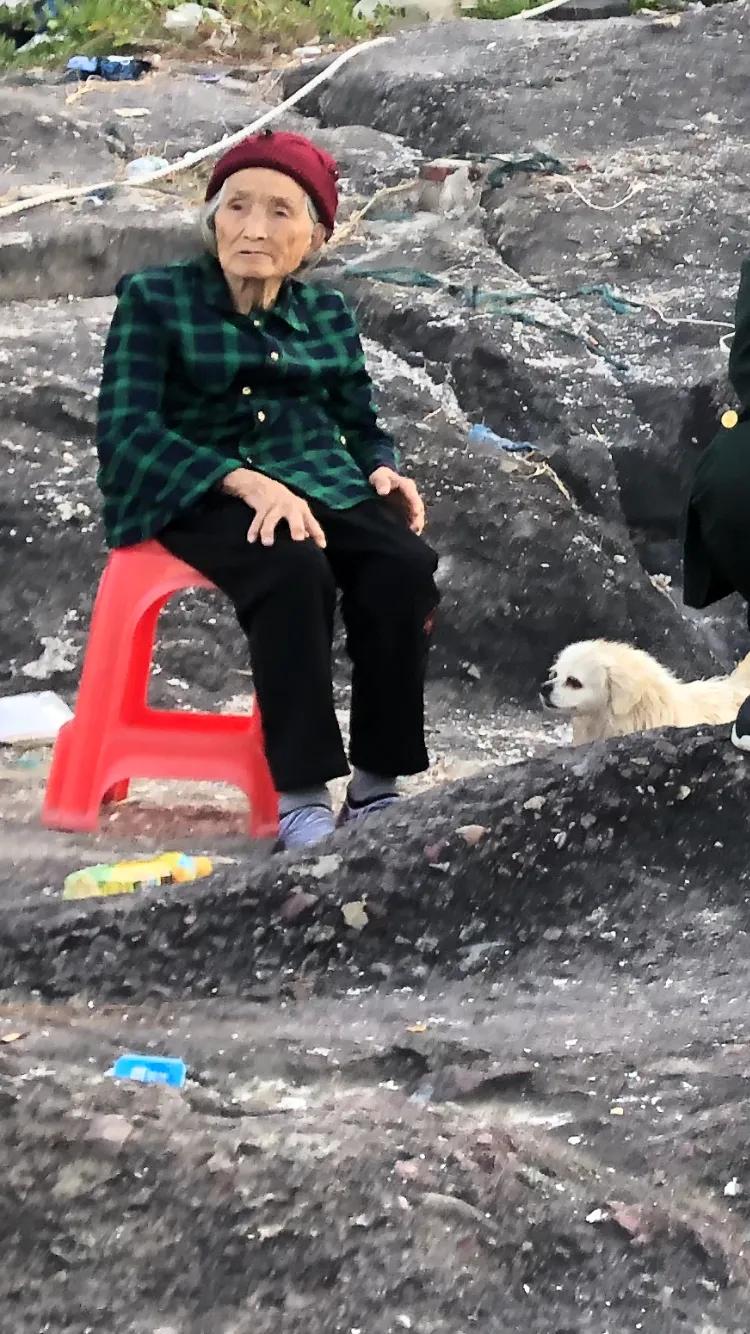 母亲与咪咪的情缘