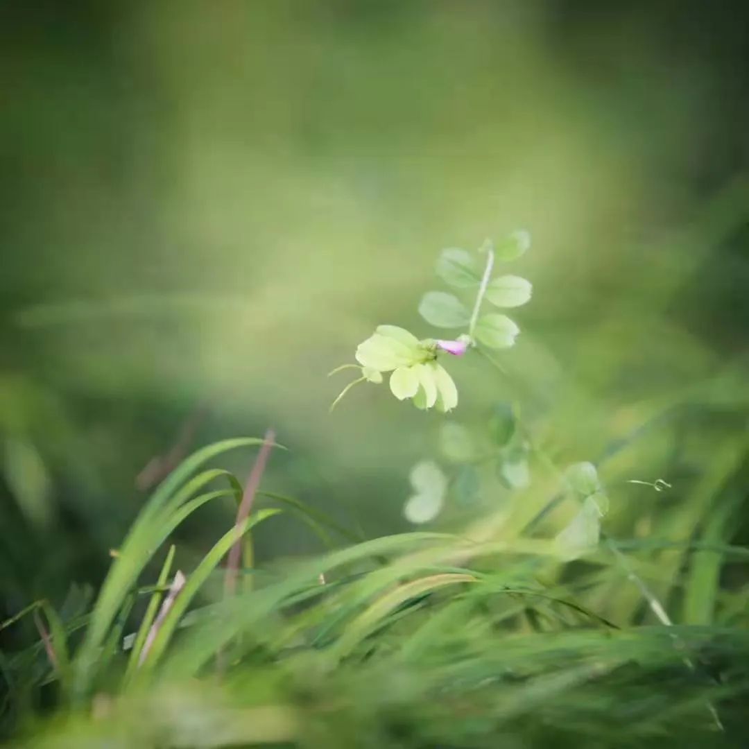 小李阿姨视频,小李阿姨生活视频