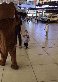 这只鹦鹉一直以为他是一只猴,所以每天都在重复做这个动作