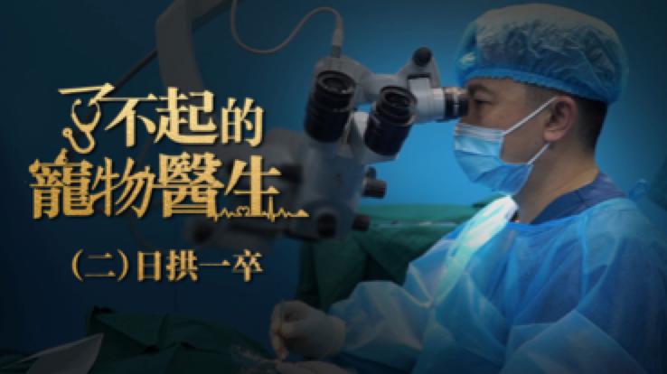 有良心的宠物医生,什么都能治的宠物医生