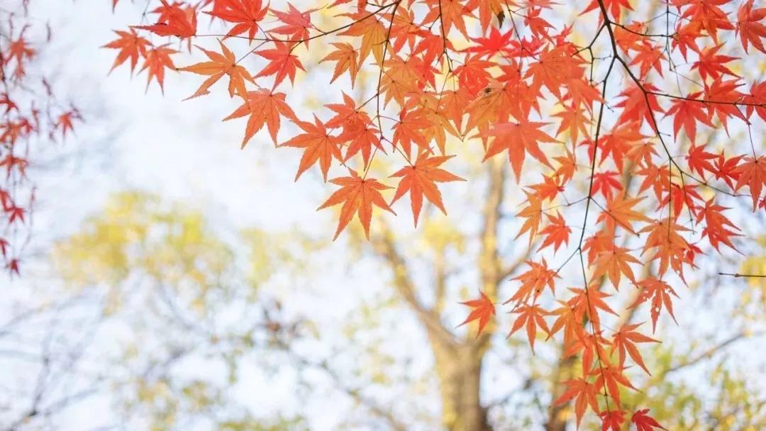 年度十佳微小说看完久久难以忘怀,年度十佳微小说的主题