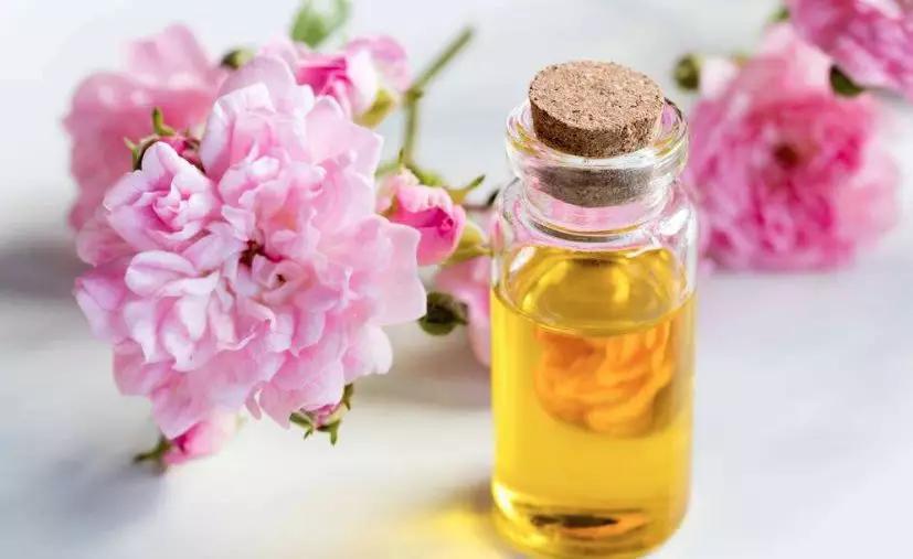 精油中的十大植物,精油品种有哪些