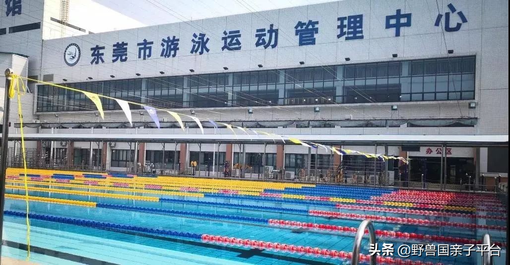 哪里学游泳最便宜又好,暑假学游泳去哪里学