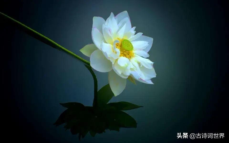 您语文好,请来读读试试,防老年痴呆