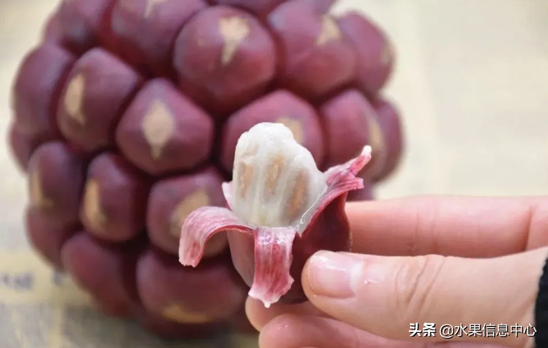 国内好吃的热带水果有哪些,小众水果推荐