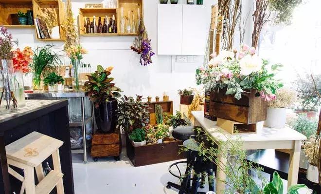 开一个花店指南,如果你也想开一家花店书籍