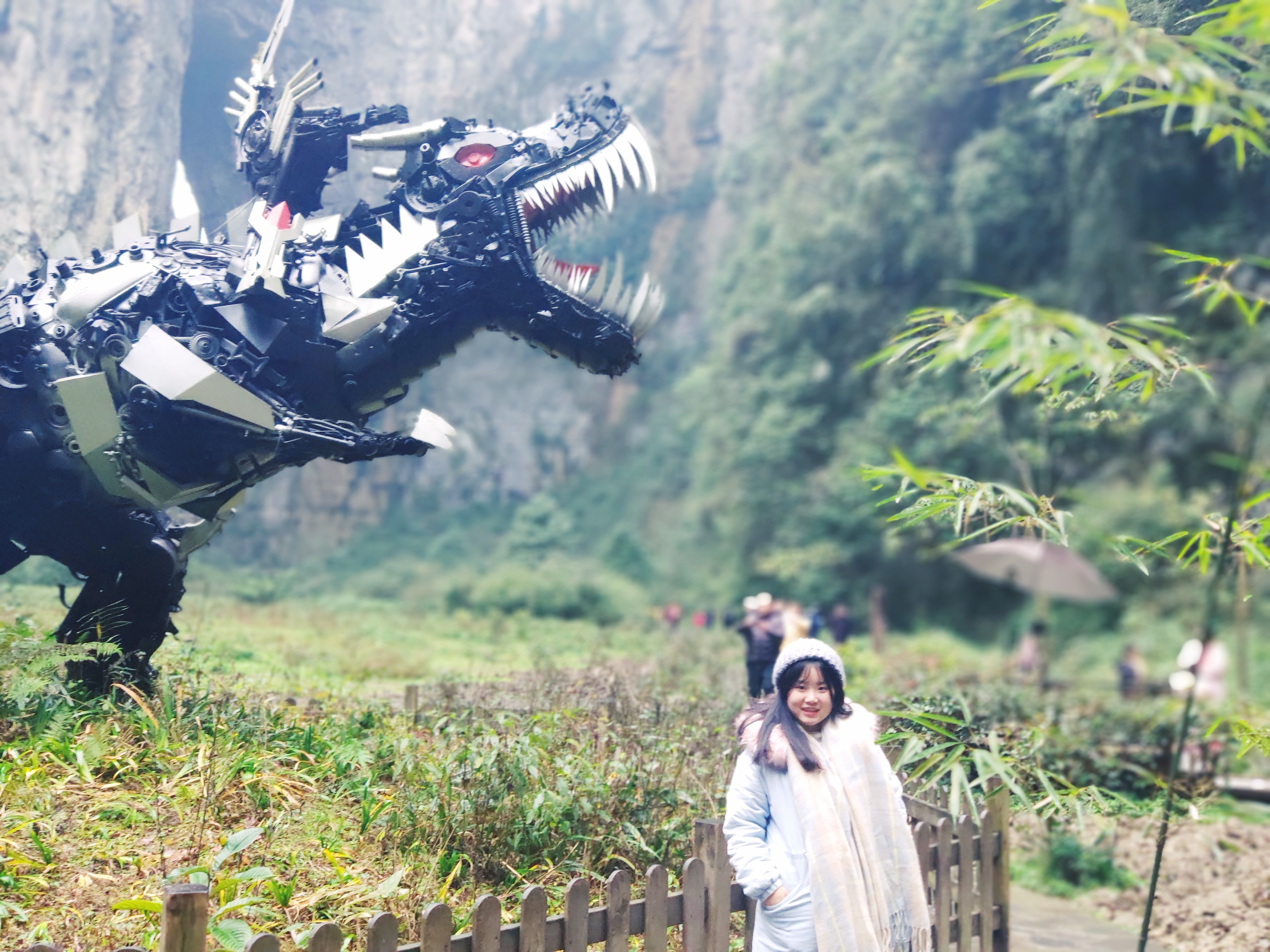 我的浪漫之旅——仙境武隆两日游