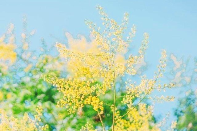 如何面对生活中的困难和压抑,如何面对一个沉闷压抑的家庭