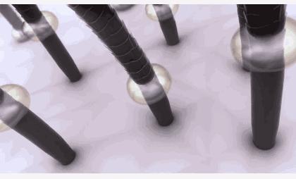 能让头发乌黑靓丽的洗发用品,用什么洗发水能让头发浓密乌黑