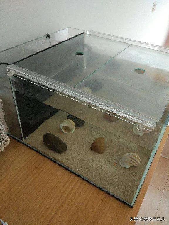 泰狮鱼缸最佳过滤方法,鱼缸用活性炭过滤水的优缺点