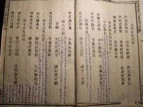 历史上真实族谱,历史遗留族谱