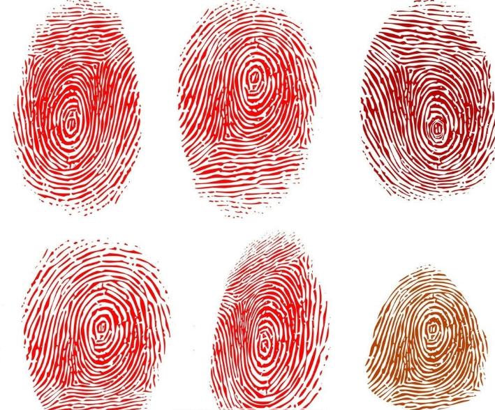 为什么每个人指纹不一样,为什么每个人的指纹都不一样呢