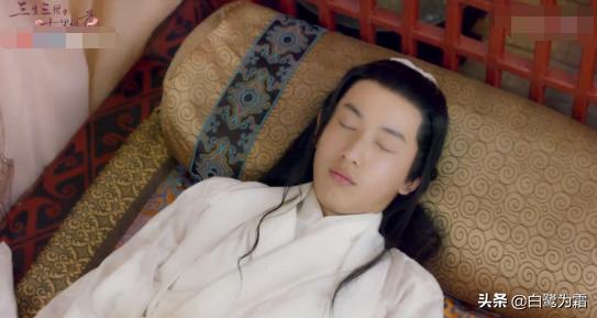 阿离和元贞是什么关系,滚滚和阿离的真身