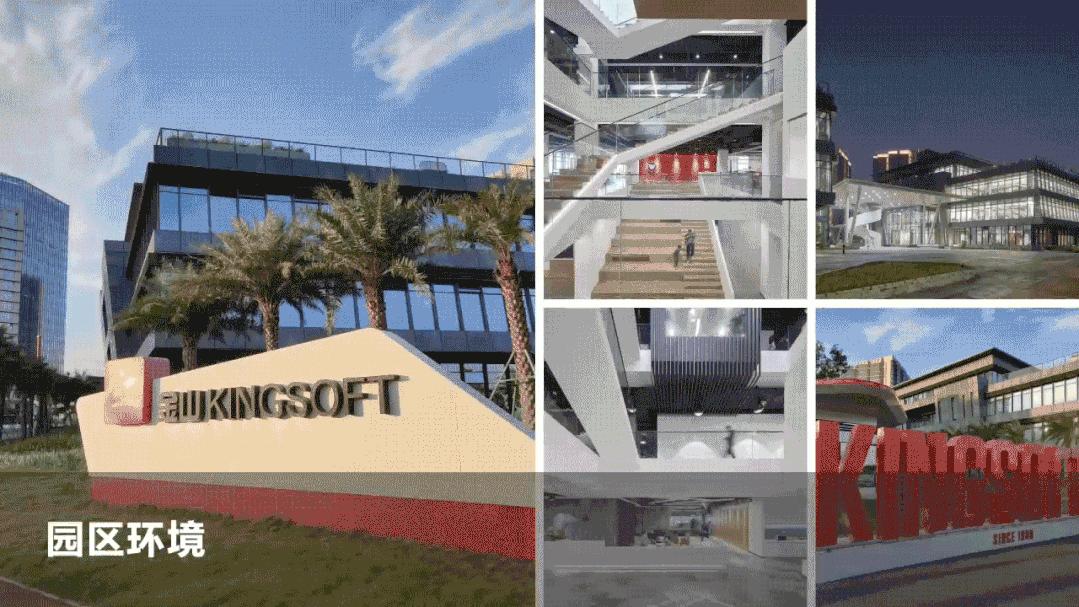 wps一键美化排版,ppt图片太多怎么设计才美观