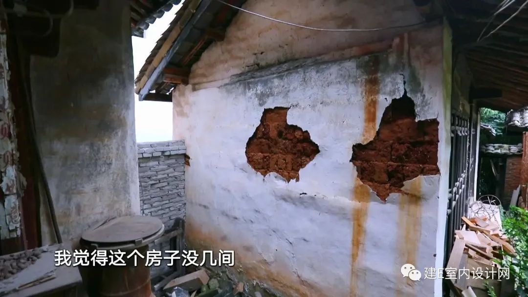 乘风破浪谢柯,谢柯个人简历