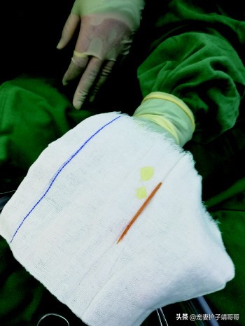 性教育的话题,性教育话题有哪些