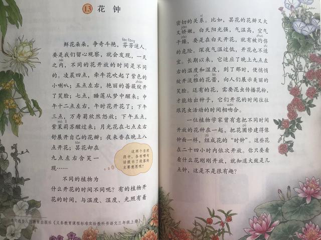 三年语文《花钟》《蜜蜂》《小虾》，资深教师备课重点，建议收藏