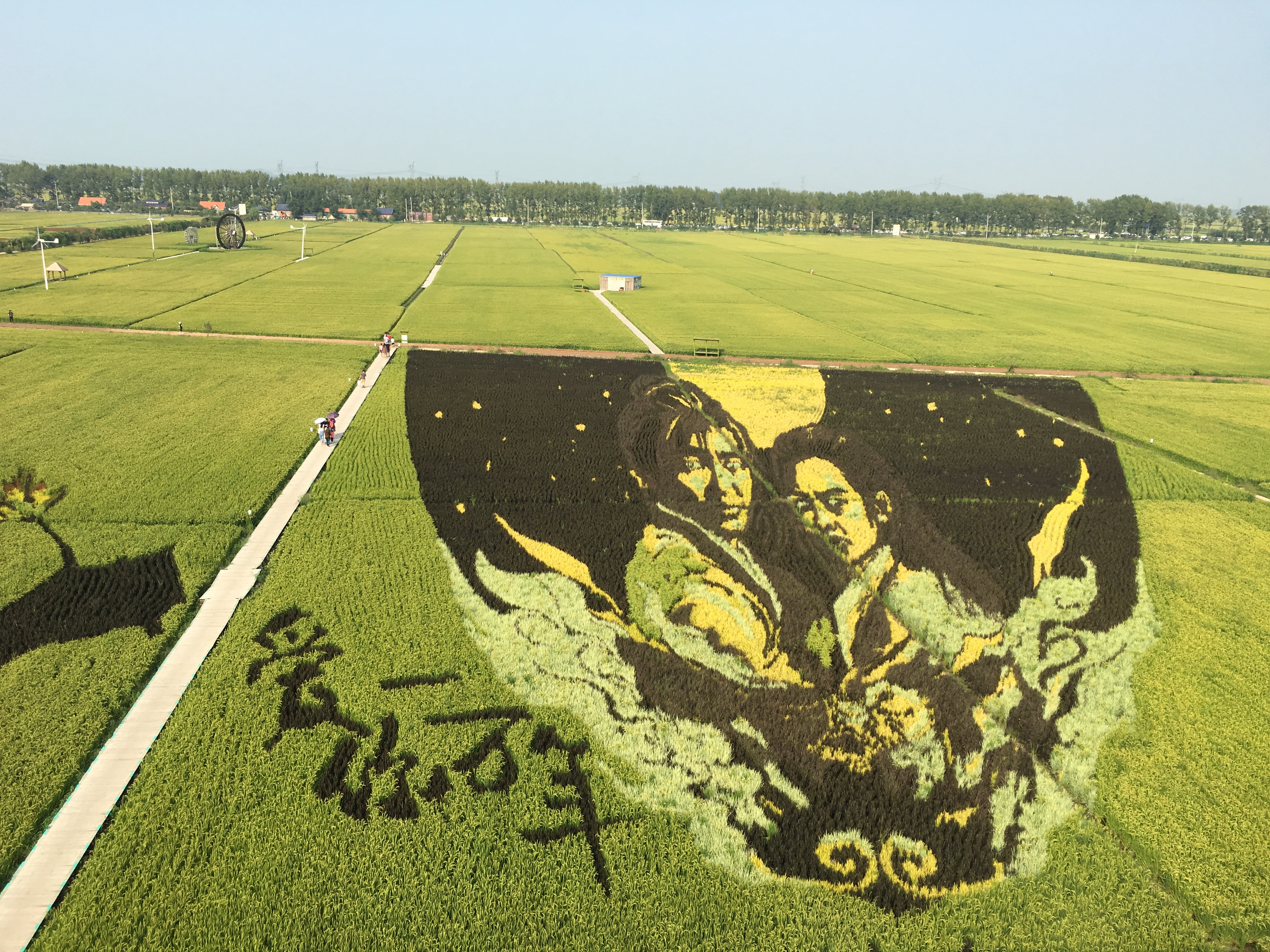 沈阳稻梦空间景区旅游攻略,沈北稻梦空间旅游攻略